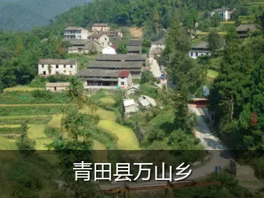 青田县万山乡