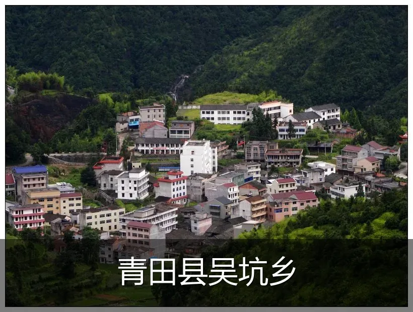 青田县吴坑乡