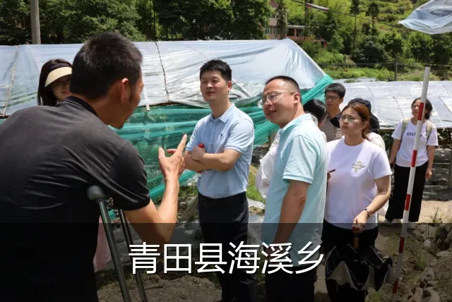 青田县海溪乡