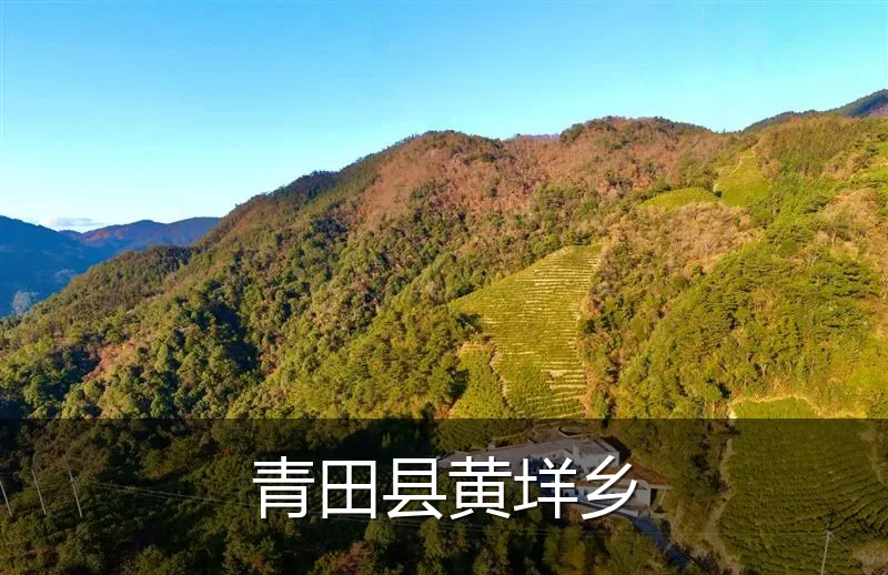 青田县黄垟乡